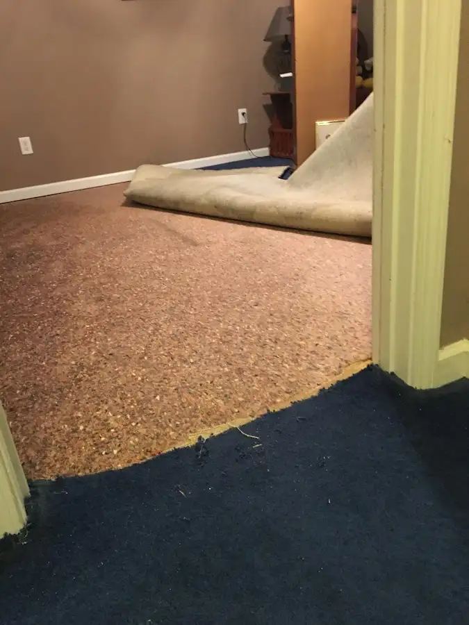Carpet pad removal revealing water damage during Water Mitigation Services in Williamstown