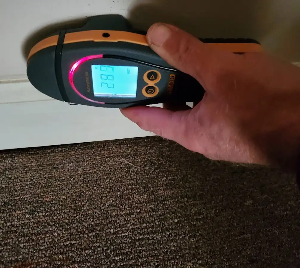 Moisture detection at baseboard during Sewage Cleanup & Sanitation in Williamstown